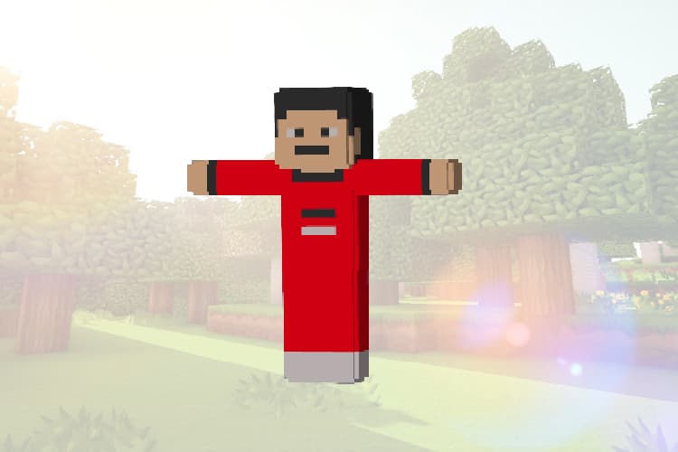 T ✋